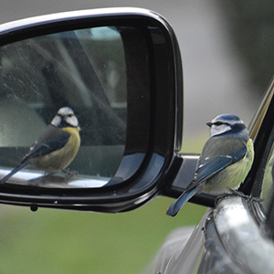 Wildlife photo competition: Heather Bothroyd